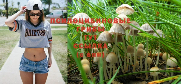 стаф Арсеньев