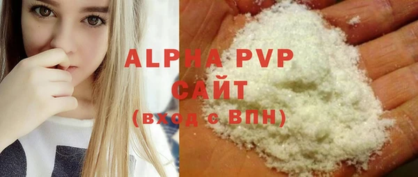 стаф Арсеньев