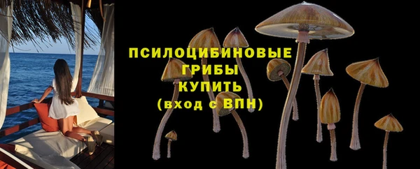 стаф Арсеньев
