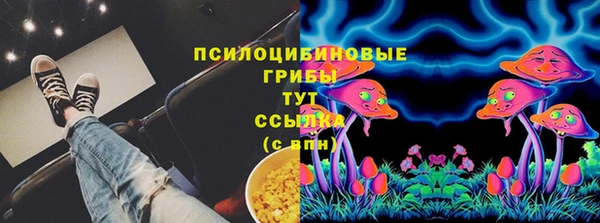стаф Арсеньев